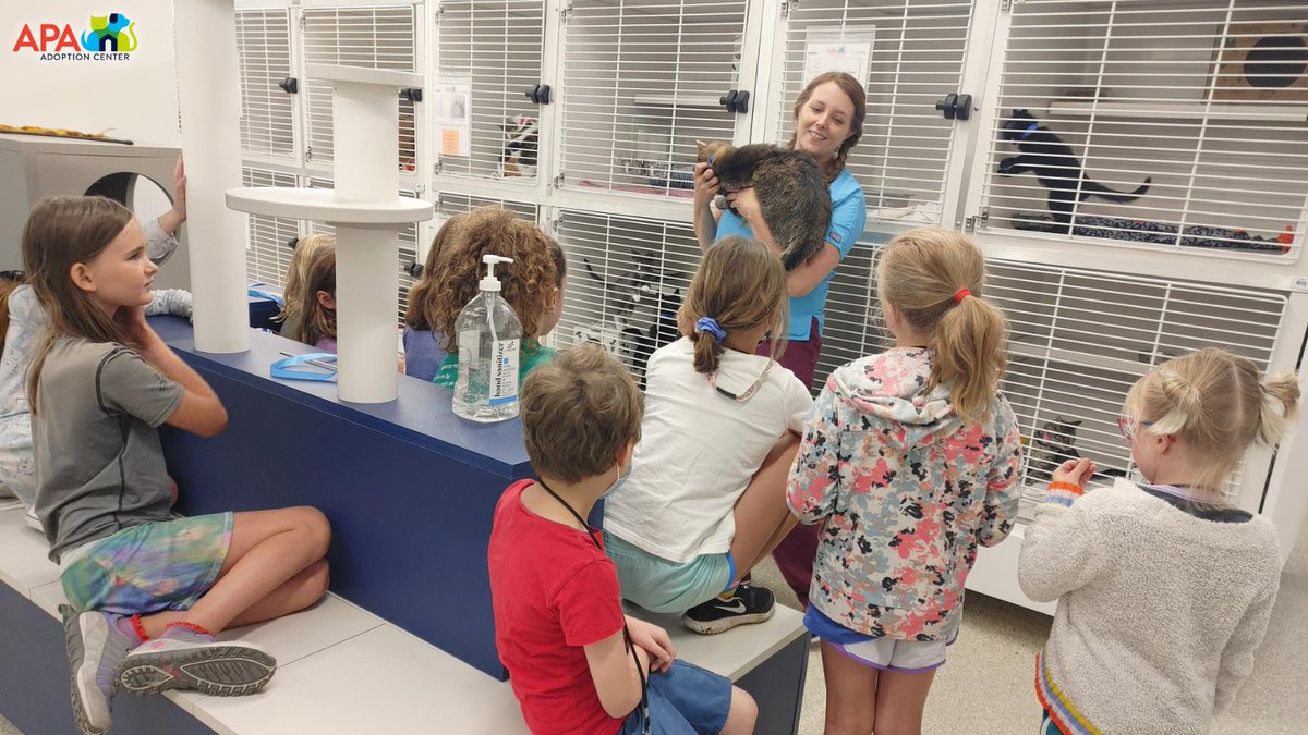 APAofMO's tweet photo. The June 2022 APA Summer Camp was a huge success! We are lucky to have these young animal advocates in our world. Our summer camp sessions are full for this year, but we hope your animal loving kiddos will join us for our 2023 spring or summer camps.
#APA #APAMO #AdoptDontShop https://t.co/HLvmYqdTVg