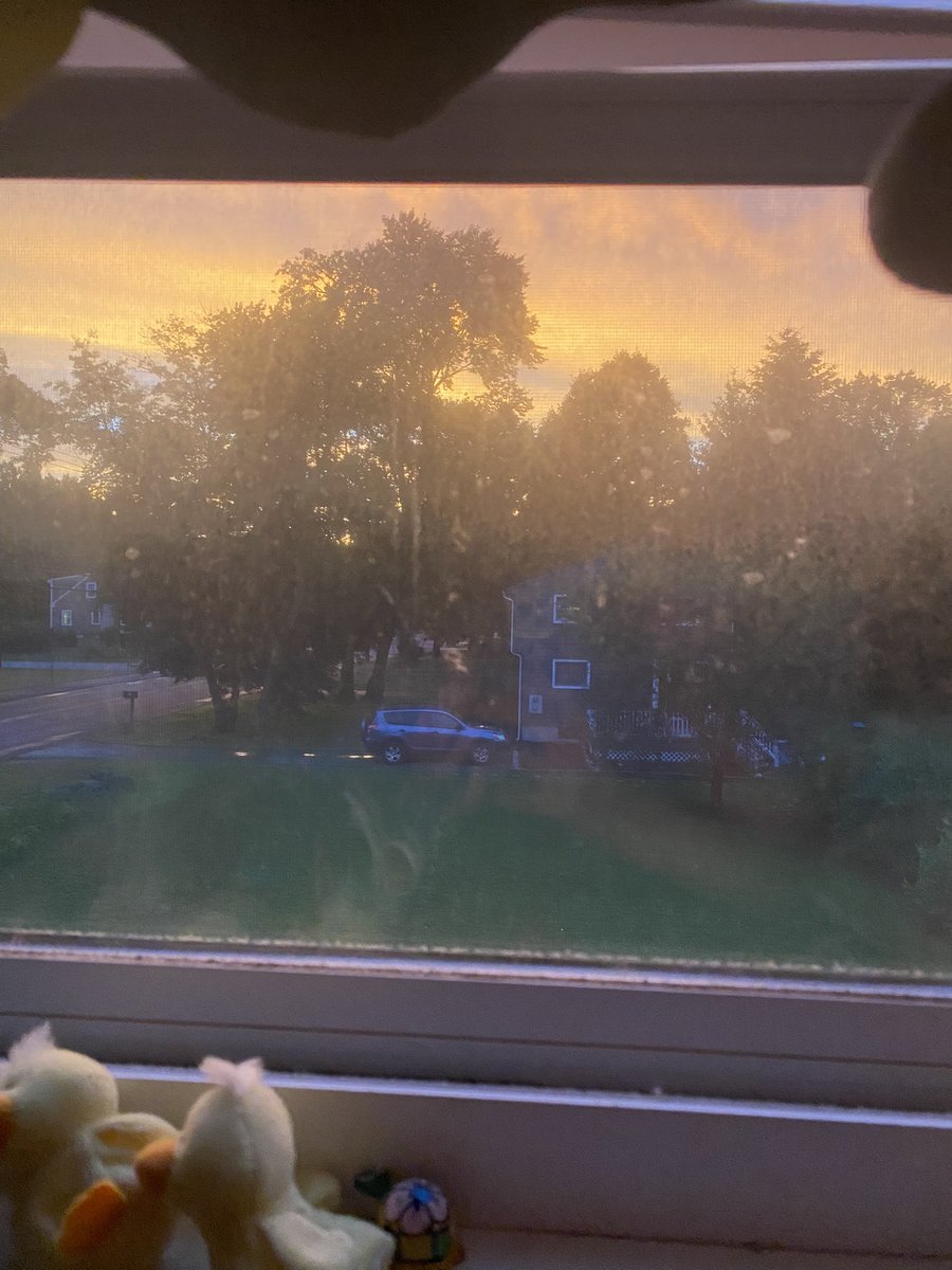 Alexa969853372's tweet photo. 6/27/2022 😍 #gorgeoussunset #beautifulsunsetafterrain #aftertherain #june272022 #summer2022 #2022 https://t.co/fy09LHNsEe