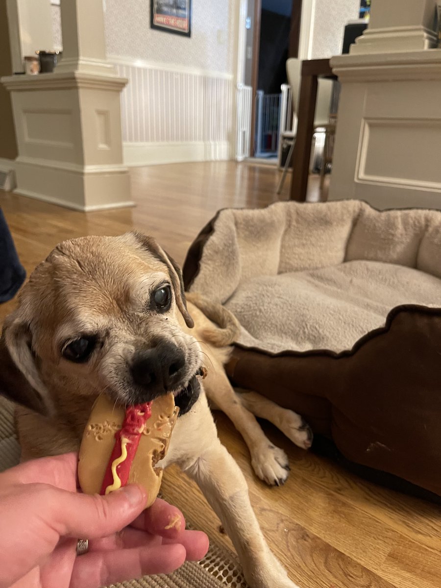 Guthriepuggle's tweet photo. This is what turning 16 looks like. #noms 

Cc @darth https://t.co/t9uatAgV3v