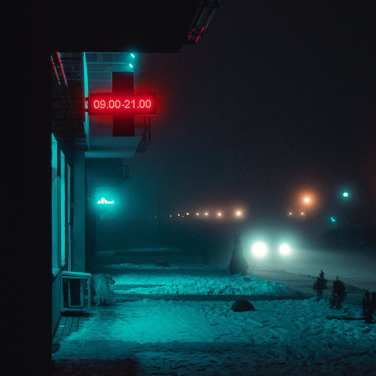 Until Night Falls tweet media