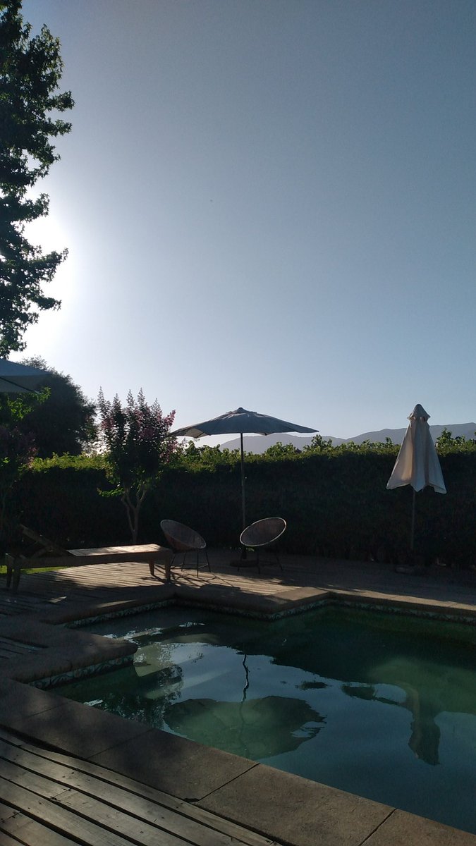setblue5's tweet photo. summer 🌻 https://t.co/IZTPTeNjm9