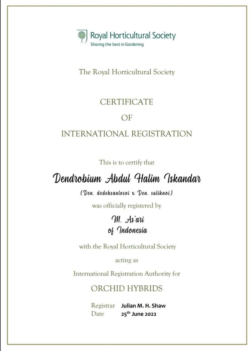Titiek Handriani tweet media