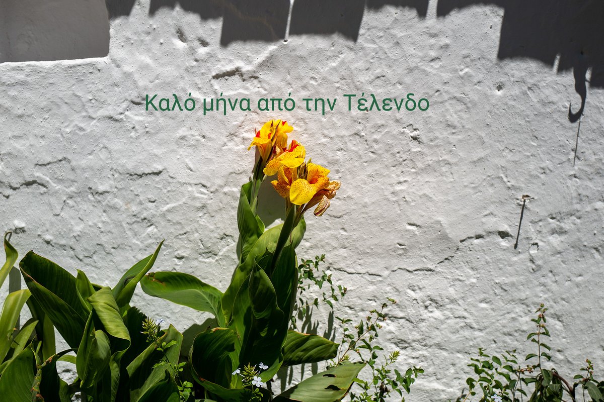 telendos_de's tweet photo. Kαλό μήνα από την Τέλενδο #telendos #kalymnos https://t.co/sruIRjPSuP