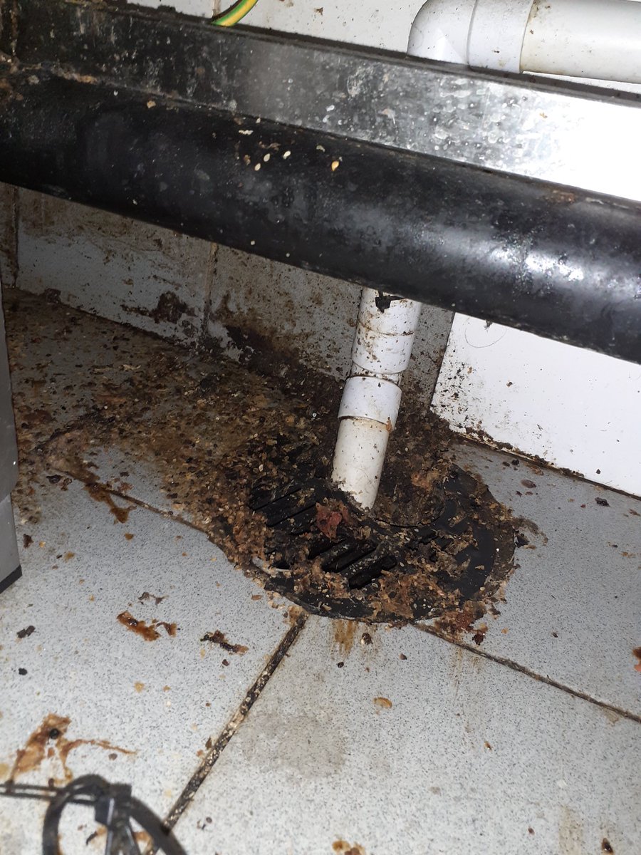 ECAS_World's tweet photo. This photo shows a drain at the premises of a well-known restaurant brand. They’ve essentially been using the drain as a bin. The kitchen staff said the floor is also swept into this drain 🧹 This is what could cause a blockage ❌

#drains #blockages #hospitality https://t.co/n0mLQ4WviU