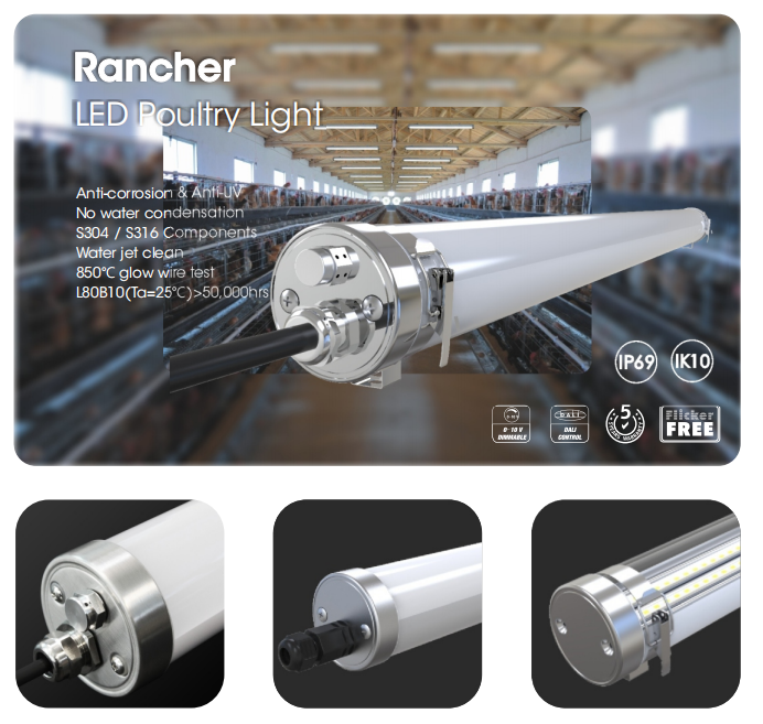 Bill96825067's tweet photo. If you are in the led lighting industry and looking for a job as a sales consultant, please contact me freely.

bill@shinelong-led.com
https://t.co/WfolTBWjcK
ShineLong Technology is a leading led lighting manufacturer for Biological lighting, Smart lighting luminaires. 
 #led https://t.co/740jmaTmcr
