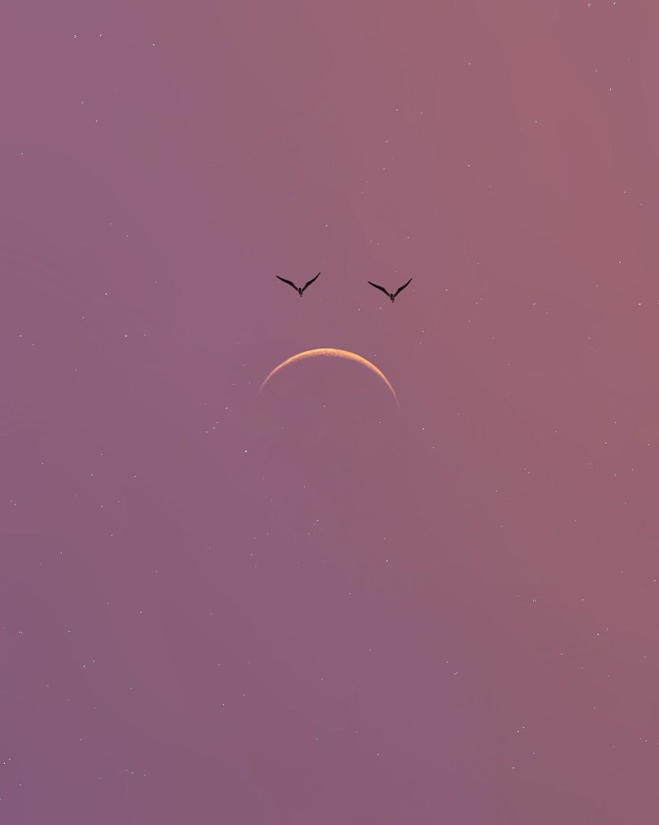 TahsiaW's tweet photo. Last month, it was the moon🌙 https://t.co/sUiCh2e7xv