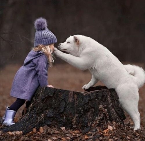 honky_tonk's tweet image. At its root, consciousness is one.

意識は大元で一つです。
#Oneness #合一 #consciousness #意識
RP @animalesypers69