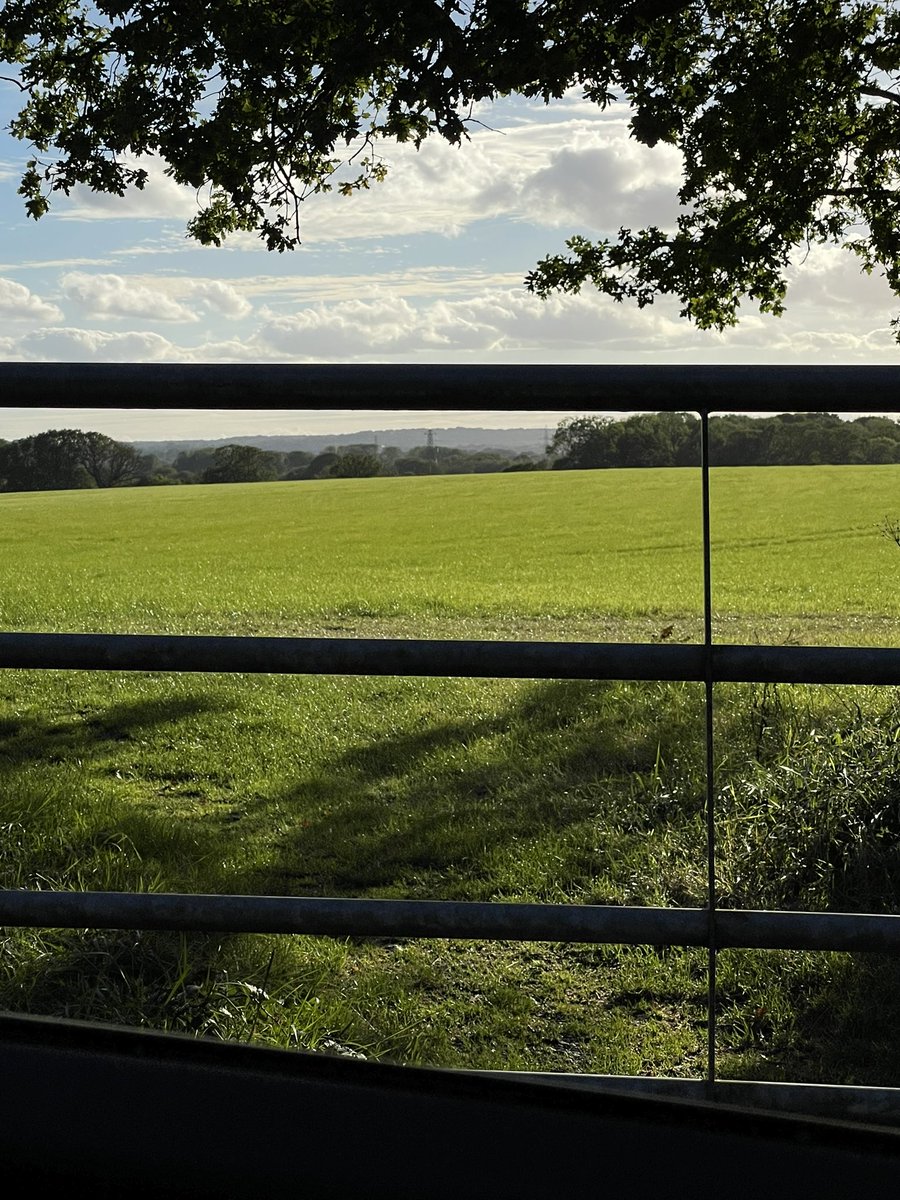 AlexDickinson97's tweet photo. Those early starts have their perks ☀️🚜 https://t.co/UB7RPwTvai