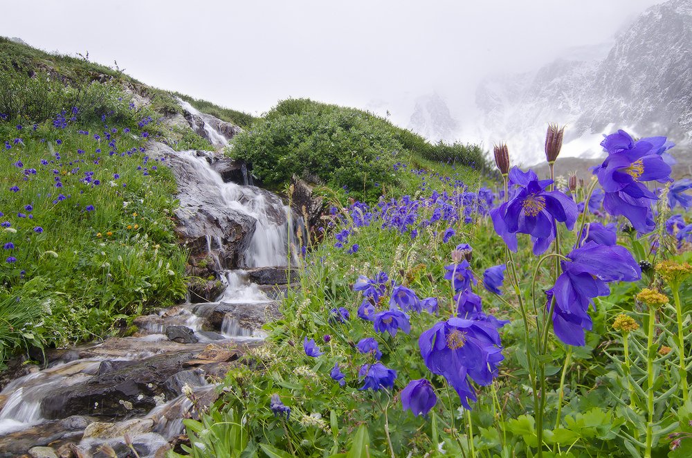 GM frens!!
It's hot today, I want mountain coolness 🏔️
#NFTCommunity