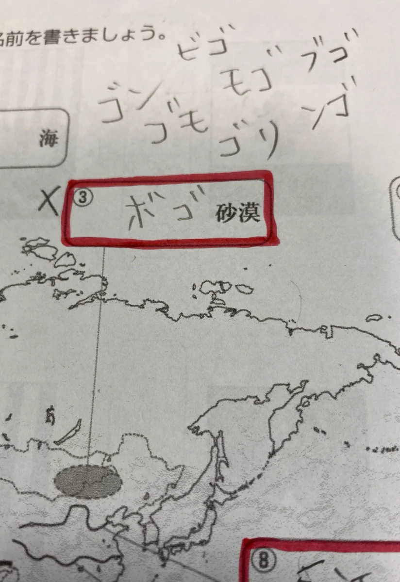 地理のテストで…ゴビ砂漠をボゴ砂漠と書いてしまう！