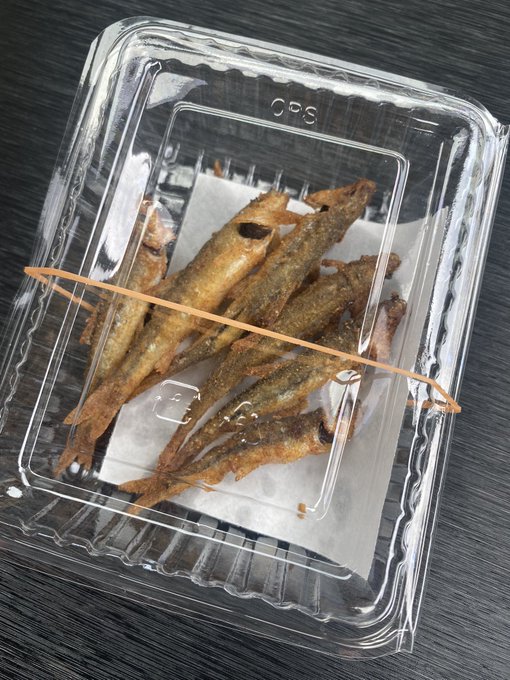 家族で楽しめる 沖縄の釣り堀 まとめ てとら釣り キャンプ
