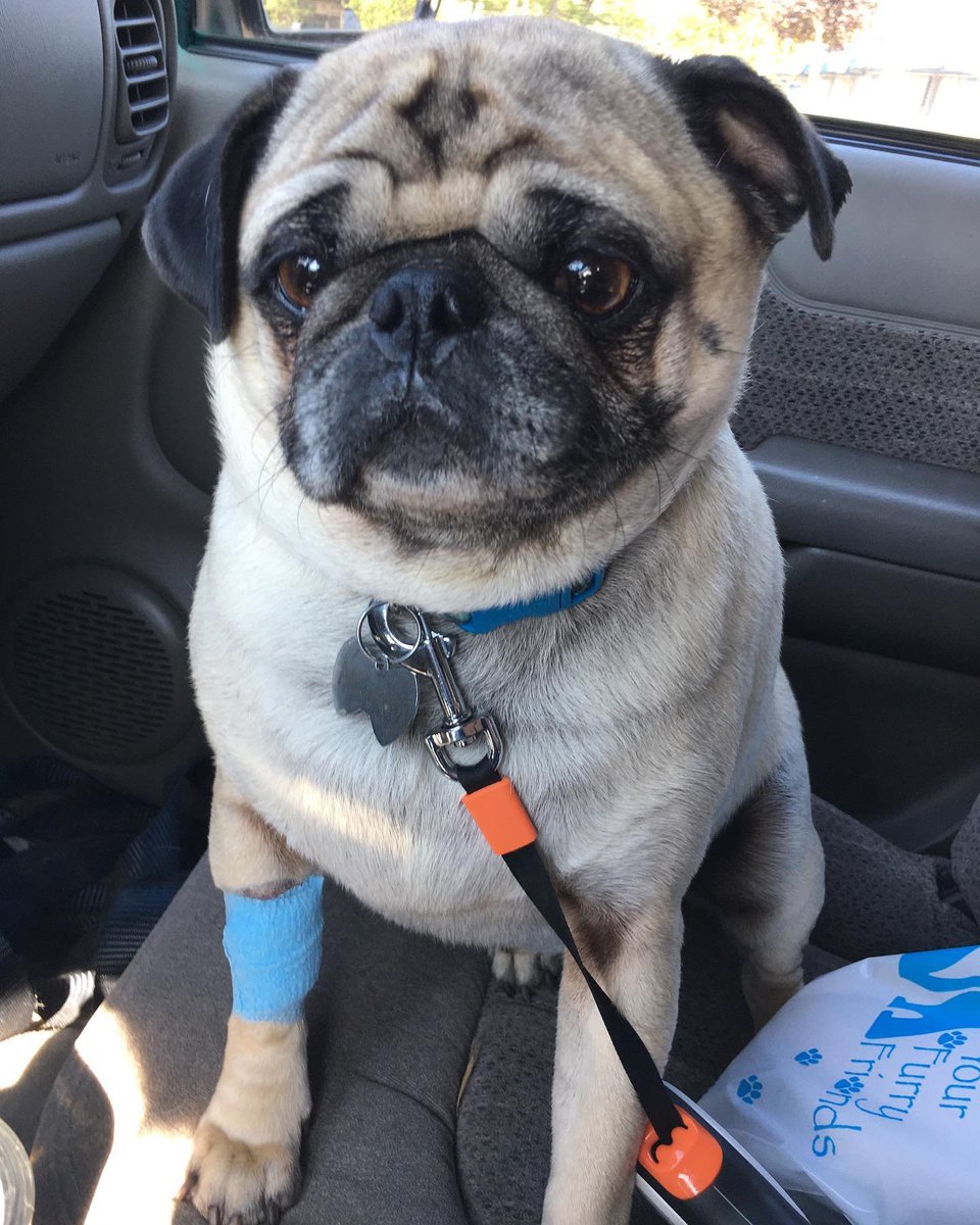 Aaron Daniel Annas tweet media