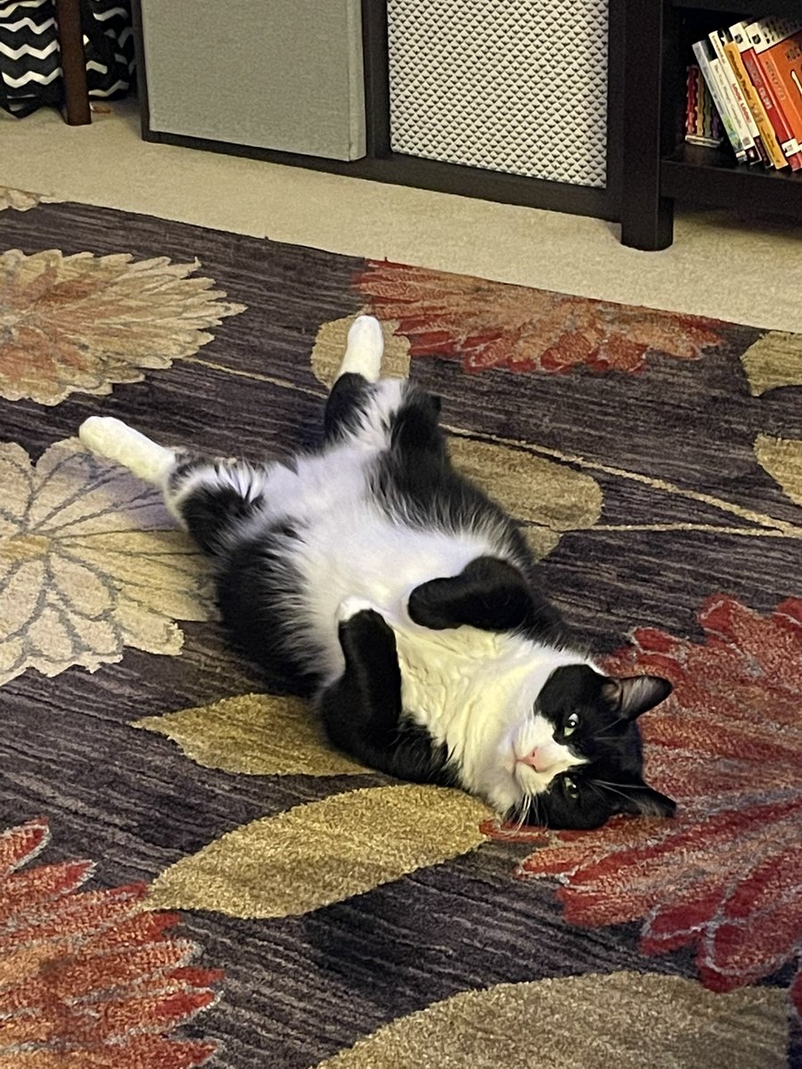 Oaghe. Somner tiem’