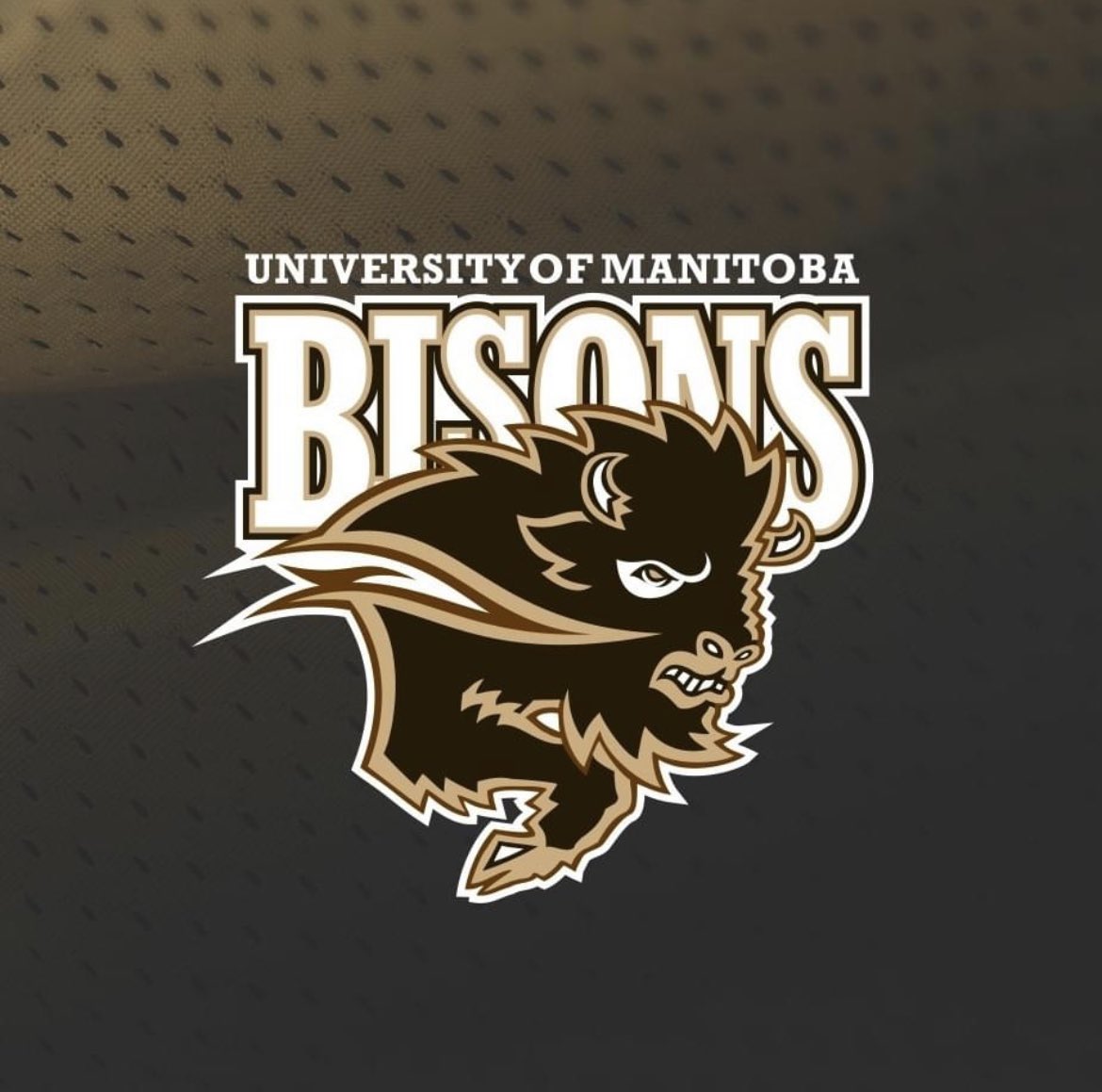 After a great conversation with coach Dobie, I’m thankful to receive an offer from the University of Manitoba <a href="/MBBisons/">Manitoba Bison Football</a>