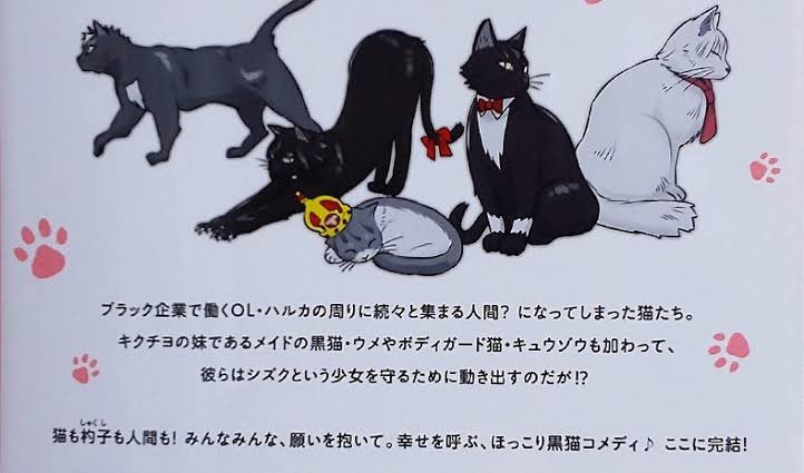 元野良の子猫を保護して13年、漫画のキャラになって3年連載したり、子供らとの動画がバズってテレビに出たりした黒猫キクチヨを先程看取りました。よく頑張ったね 