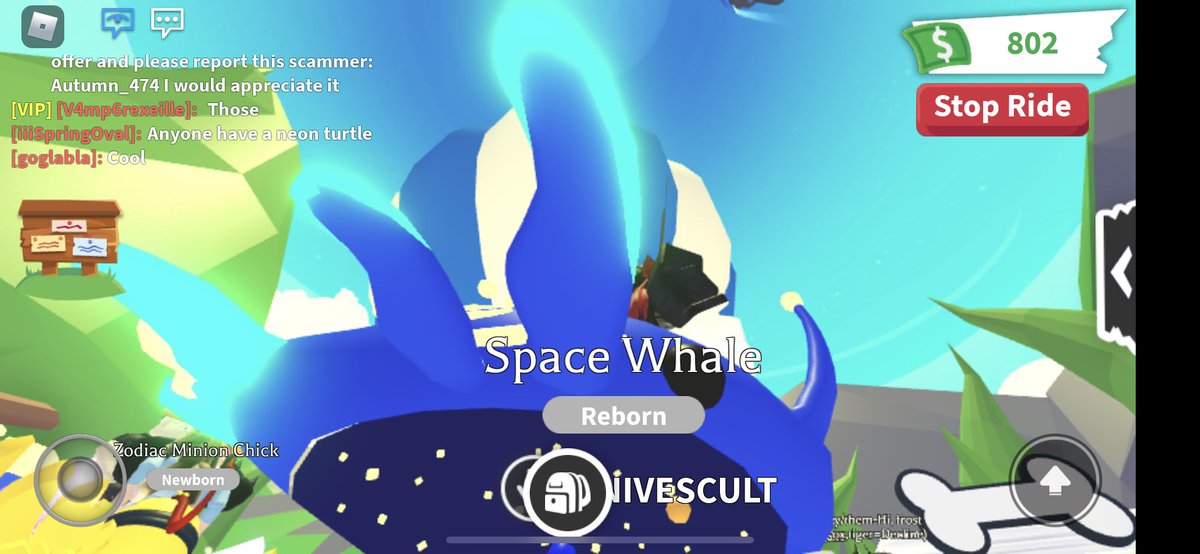 Trading ride neon space whale I dont offer!
#adoptme #adoptmetrades #adoptmeoffers #adoptmetrading
