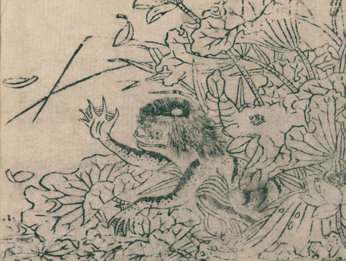 江戸中期の浮世絵師、鳥山石燕の妖怪図鑑『画図百鬼夜行』です。 河童