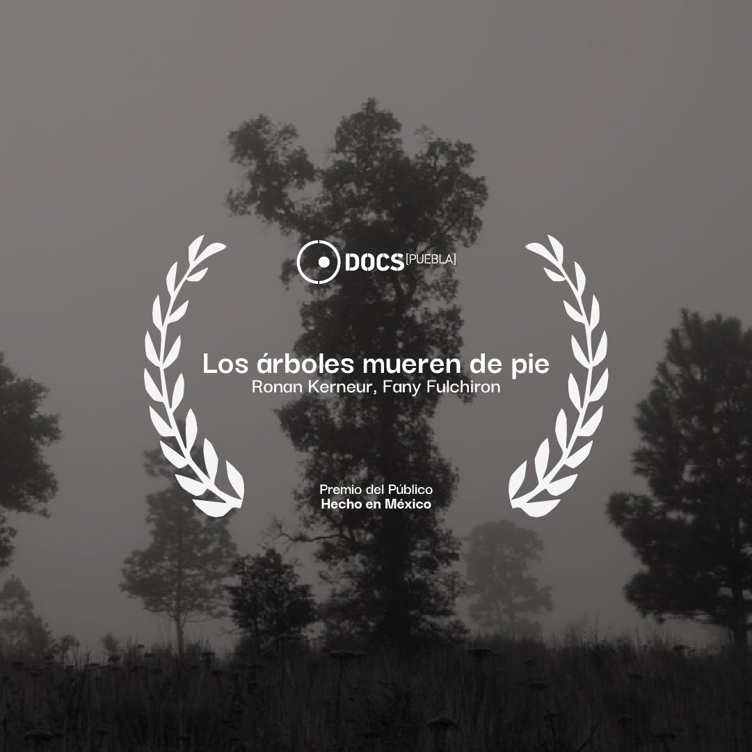 DocsMX's tweet image. #DocsPuebla2022

Premio del Público de la sección #HechoEnMéxico es: