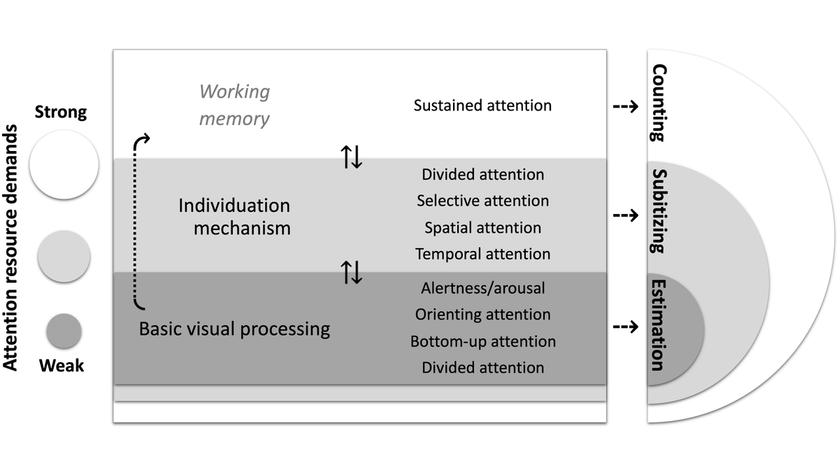 Jian Chen (@saturn_chen) on Twitter photo The latest progress in understanding the role of attention in numerical cognition - In this paper, we <a href="/Jacob_M_Paul/">Jacob Paul</a> developed a unifying framework for attention and visual enumeration.
Free to read. And yes, I like bees. sciencedirect.com/science/articl… The latest progress in understanding the role of attention in numerical cognition - In this paper, we <a href="/Jacob_M_Paul/">Jacob Paul</a> developed a unifying framework for attention and visual enumeration.
Free to read. And yes, I like bees. sciencedirect.com/science/articl…