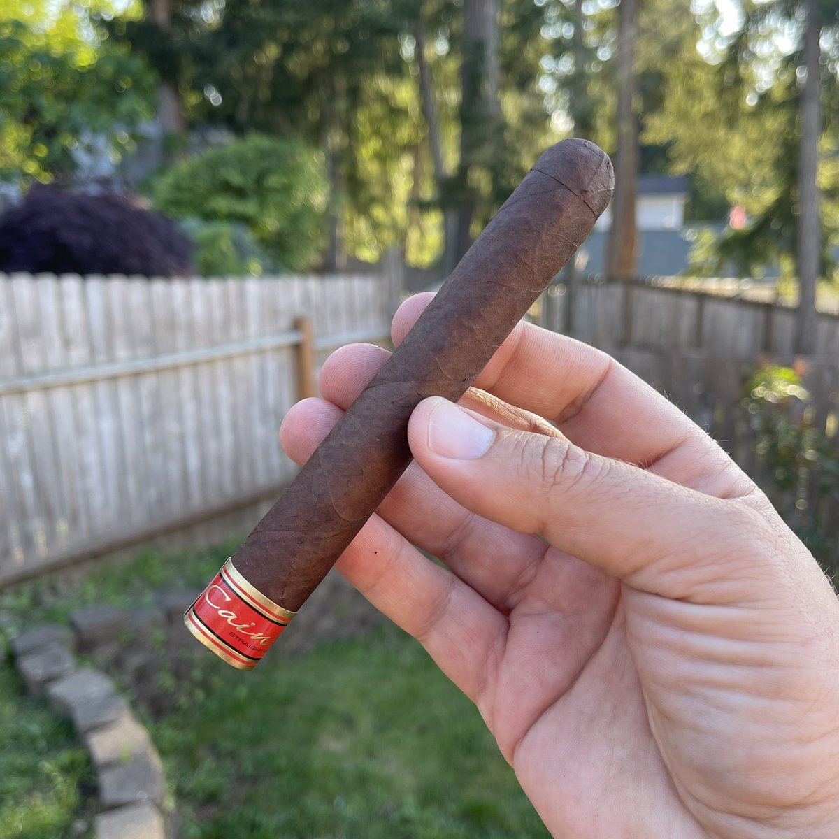 JacobWischoff's tweet photo. Cain F. π₯π―ππ»#Cain #CainCigars #CainF #Cigars #Oliva #OlivaCigars https://t.co/eDEeBuRfo8
