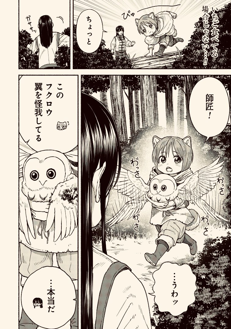 フクロウを拾う弟子の話 