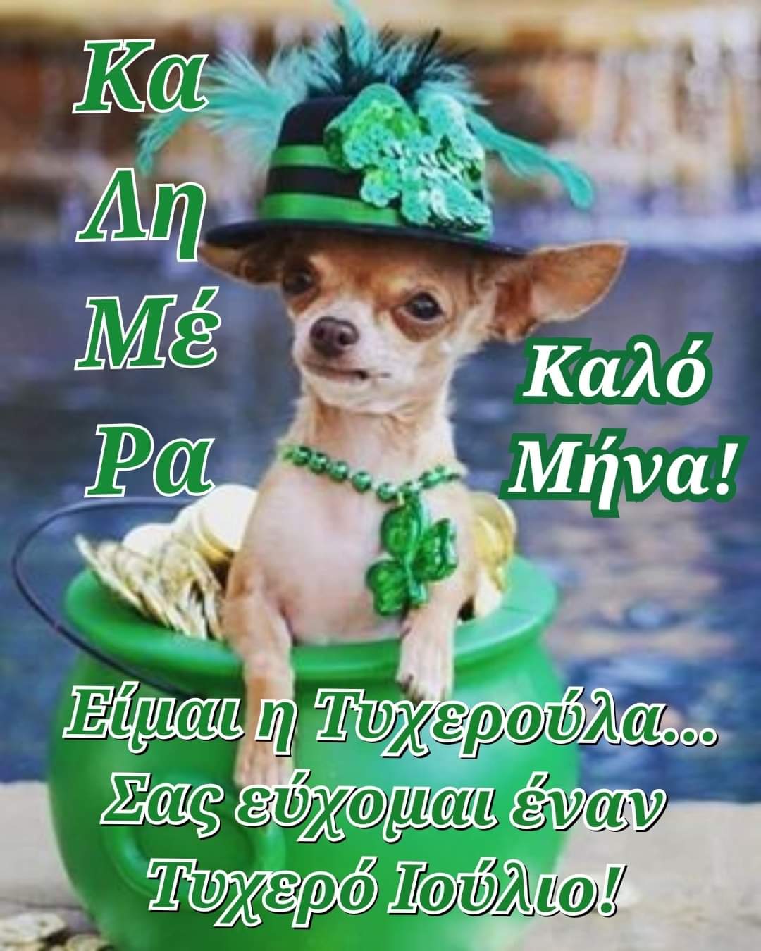 Чихуахуа