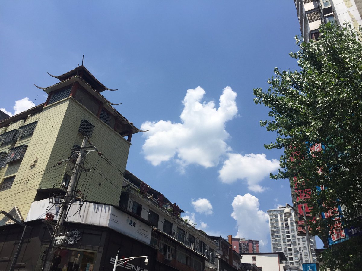 Rootstap1's tweet image. 上午晴天 下午下雨 晚上凉快