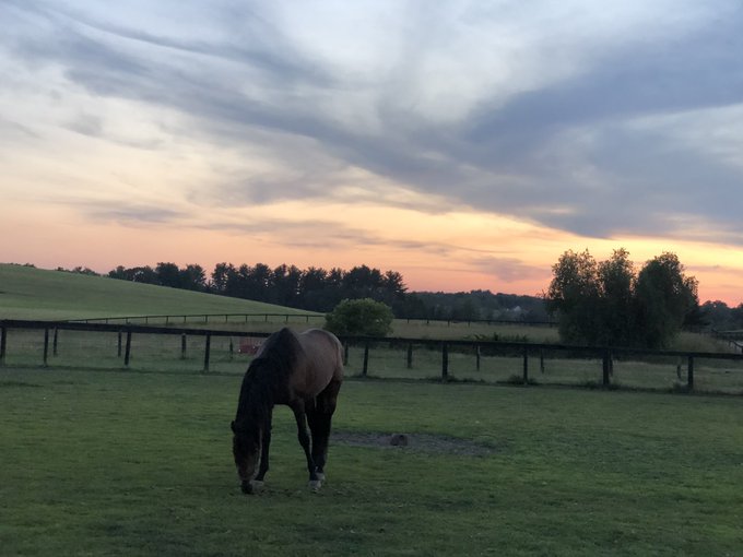 Breathtaking sunset! https://t.co/18A4YKwJEd<a href="/tag/samuraicop2"class="tags"><span>#samuraicop2</span></a>