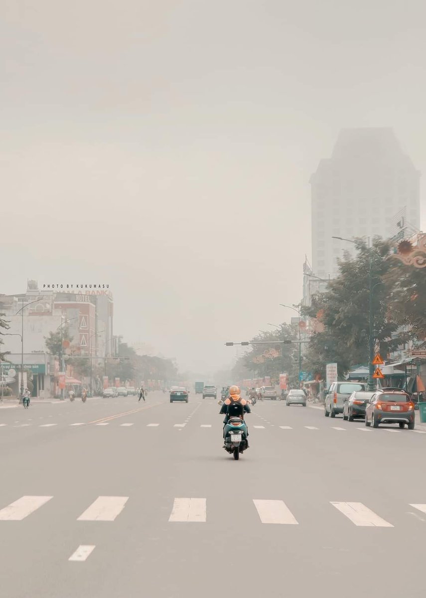 luson5015's tweet photo. A morning call. The mist is still dense https://t.co/4kzymheHJ5