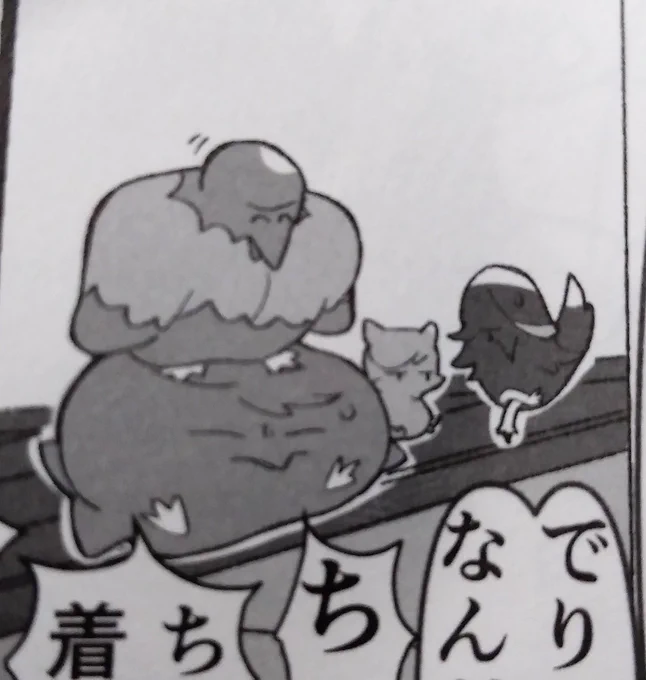 Mさん可愛いと言っていただいた鳥 