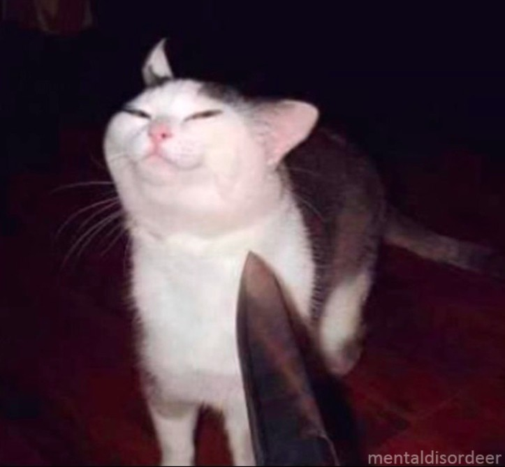 blithe_arthur's tweet photo. Dusk/Erika coming in to this game causing gay drama like #criticalrolespoilers https://t.co/1mG1PLlfKC