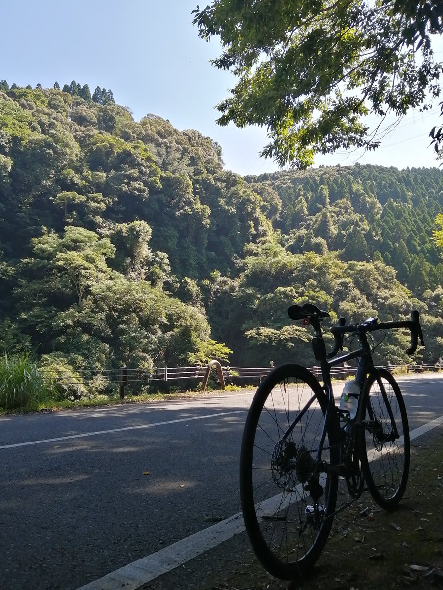 BikePeko's tweet photo. 綾照葉大吊橋に行ってきました🚴
ここ最近、耳の手術があったり、家の定期検査の報告を聞いたりして全然のれませんでしたが、ようやくお出掛け。
しかし、出だしは良かったものの、後半は目に見えて減速してしまう体たらく😅
体がなまったのもありますが、水分が不足していたかもしれません。
#宮崎 https://t.co/jqTxlRdWqW