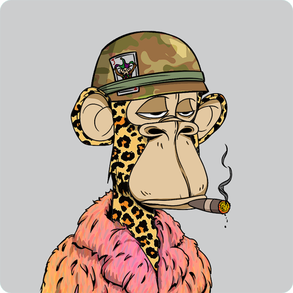 Browser Bro tweet media