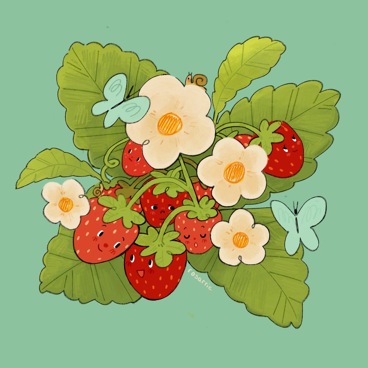 fruit food strawberry no humans bug leaf white flower  illustration images