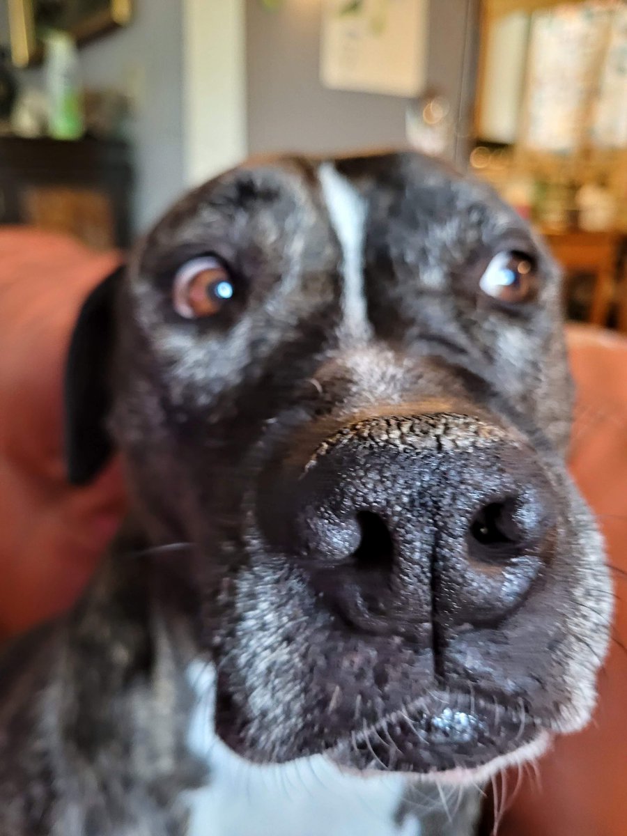 I think I've identified the main suspect, but I dunno, she just looks so innocent.