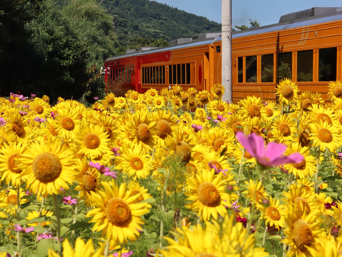 アキ♂100％ on X