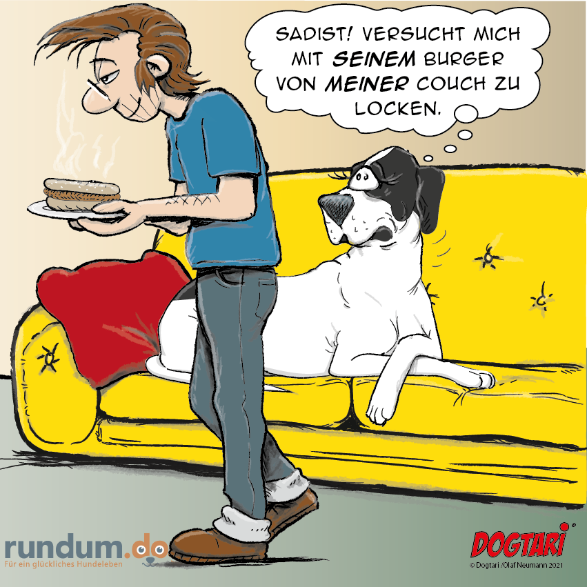 Was ein dreister versuch ihn vom Sofa zu locken. Wrde dieser Versuch  bei deinem Liebling funktionieren? - - - - - - #cartoon #hundesprche #dog  #lustig #dogtari #comic #rundumdog #hundewelt #hundehaushalt #doglife  #hundecomics #einfachlachen ...