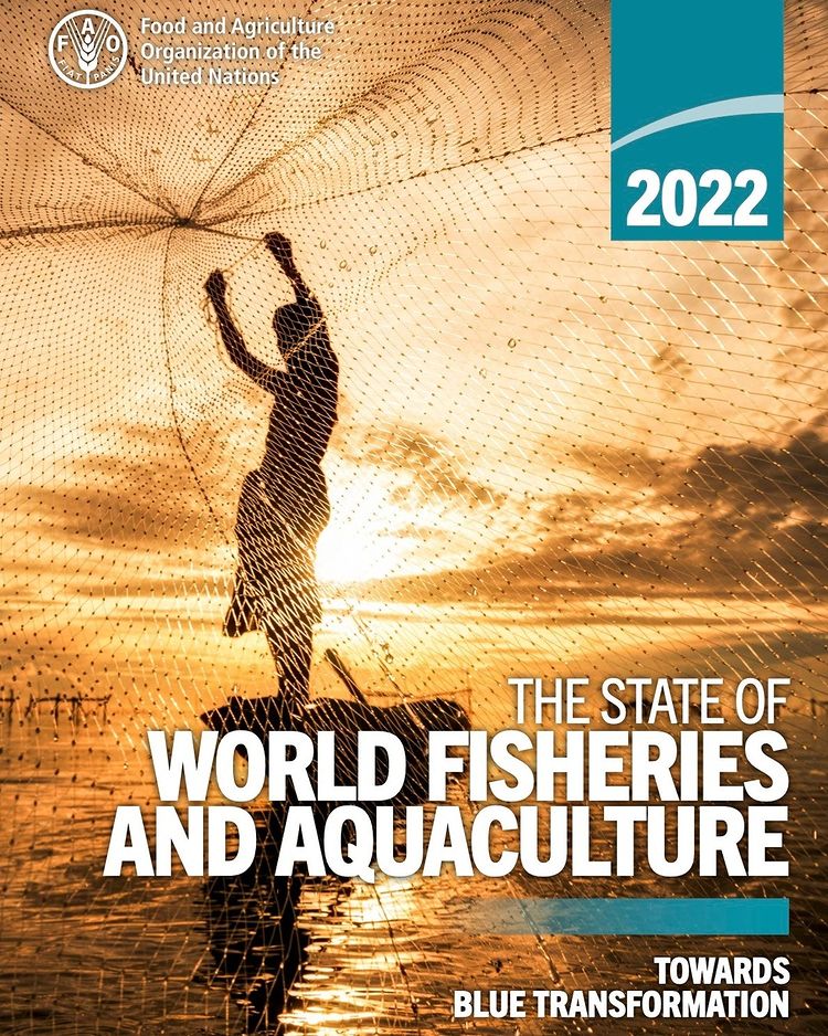 MSC i Danmark (@mscdanmark) on Twitter photo Den vigtige #SOFIA2022-rapport offentliggjort i går af <a href="/FAOfish/">Fisheries & Aquaculture</a> viser et fortsat pres på verdens fiskebestande. 🌊
Vi glæder os over rapportens opfordring til en snarlig 'blå transformation', herunder at stoppe overfiskeri. 🐟
Læs rapporten. ➡️ bit.ly/3ueIVar Den vigtige #SOFIA2022-rapport offentliggjort i går af <a href="/FAOfish/">Fisheries & Aquaculture</a> viser et fortsat pres på verdens fiskebestande. 🌊
Vi glæder os over rapportens opfordring til en snarlig 'blå transformation', herunder at stoppe overfiskeri. 🐟
Læs rapporten. ➡️ bit.ly/3ueIVar