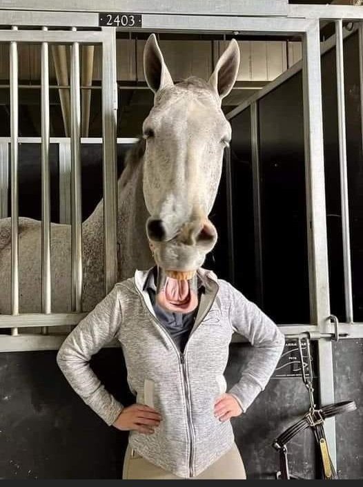 Kikiriki (@pastabowl2) on Twitter photo 