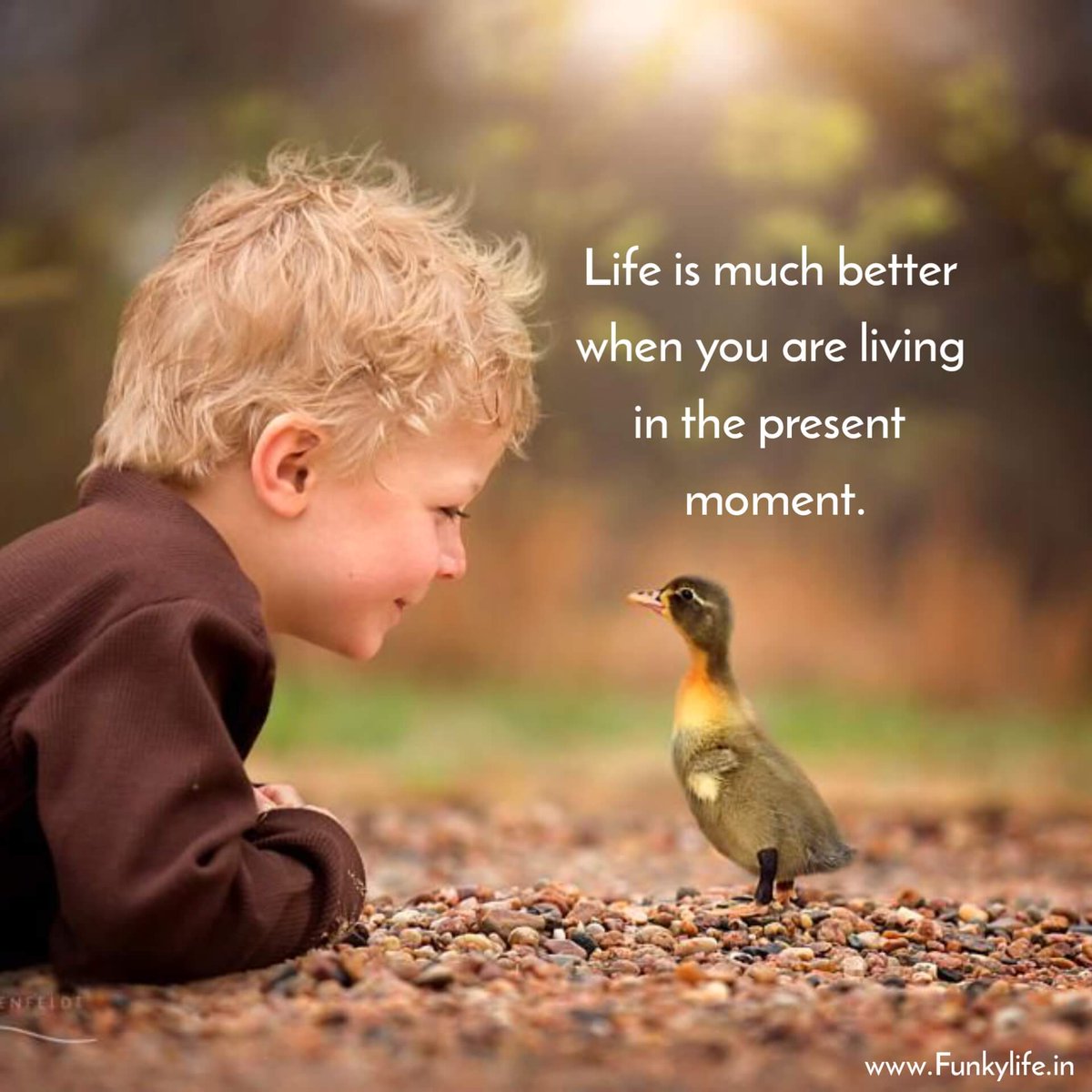 “If you want to conquer the anxiety of life, live in the moment, live in the breath." 
Good morning 💓 family
Have a day filled with joy and happiness
#NFT #WomeninNFTs