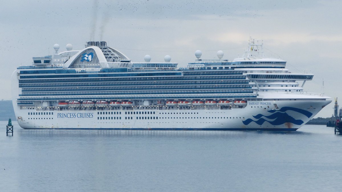 Welcome back to @BelfastHarbour 

@PrincessCruises #EmeraldPrincess

What about ye🤔

📸WixPix@Sea