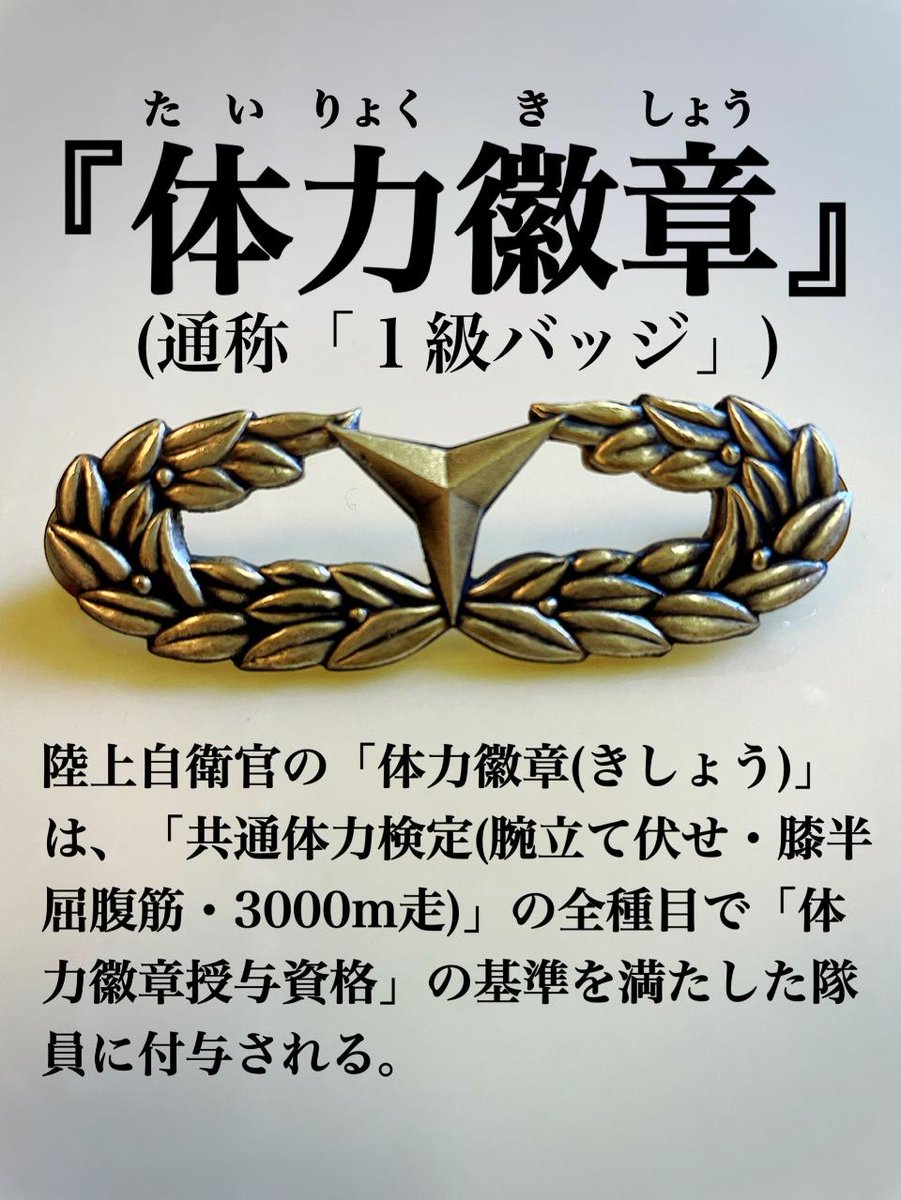 陸上自衛隊・体力検定1級・胸章 食わさ