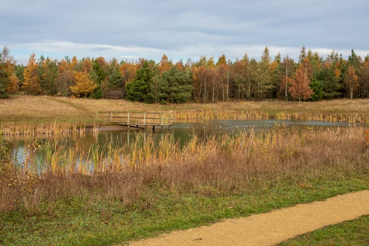 The Banks Group tweet media