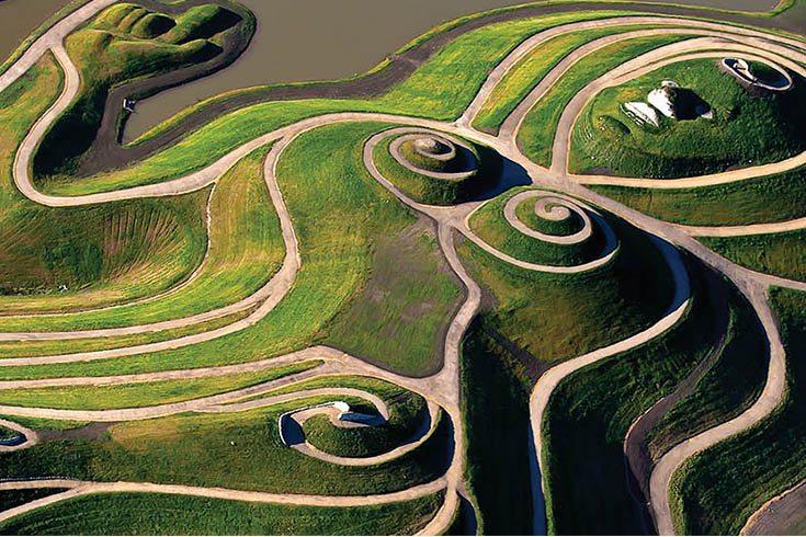 The Banks Group tweet media