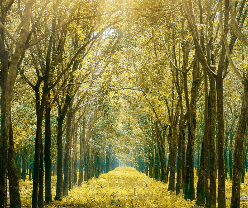 Spot The Signs (@spotsignsuicide) on Twitter photo Your mental health is a journey. Sometimes you can get lost along the way. We are here to help. For tips and advice, visit us:
hpft.nhs.uk/spot-the-signs
<a href="/MindInMidHerts_/">Mind in Mid Herts</a> <a href="/HertsMind/">Hertfordshire Mind Network</a> Your mental health is a journey. Sometimes you can get lost along the way. We are here to help. For tips and advice, visit us:
hpft.nhs.uk/spot-the-signs
<a href="/MindInMidHerts_/">Mind in Mid Herts</a> <a href="/HertsMind/">Hertfordshire Mind Network</a>