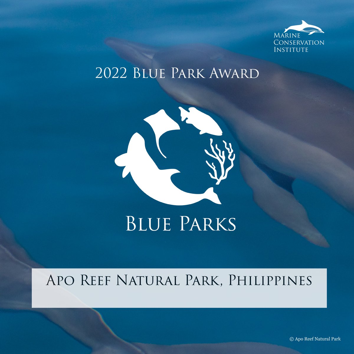savingoceans tweet media
