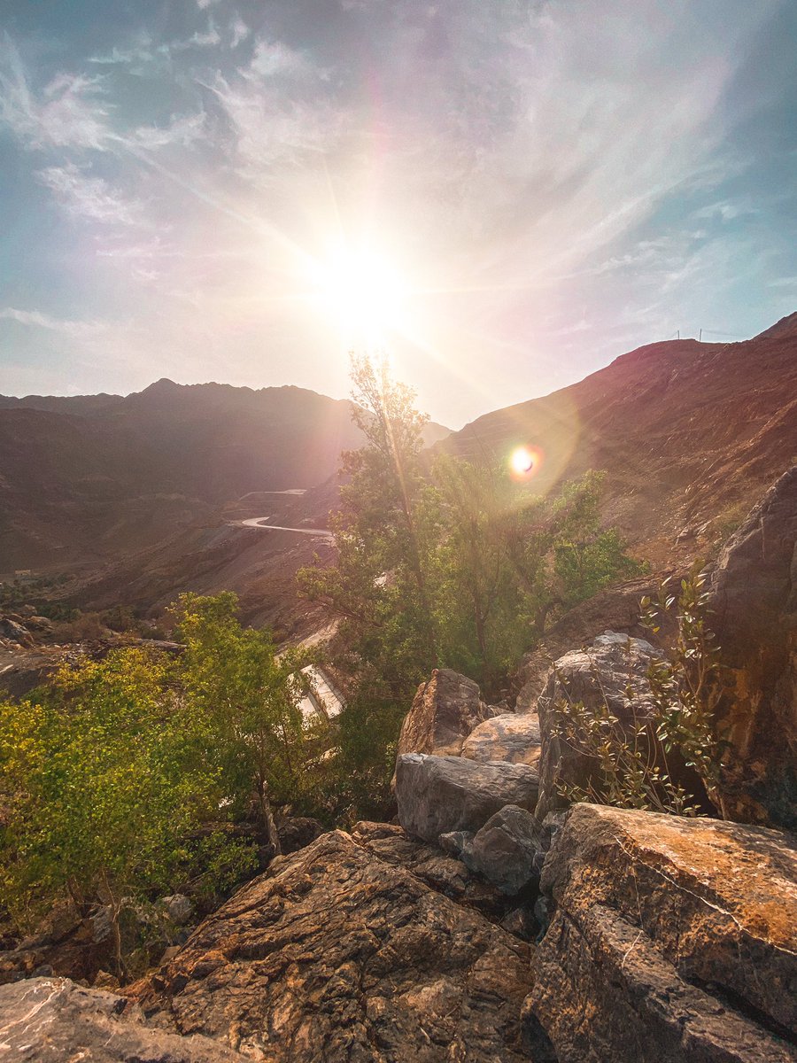 عين الميس في وادي الهجر 😍✨
عبري 📍