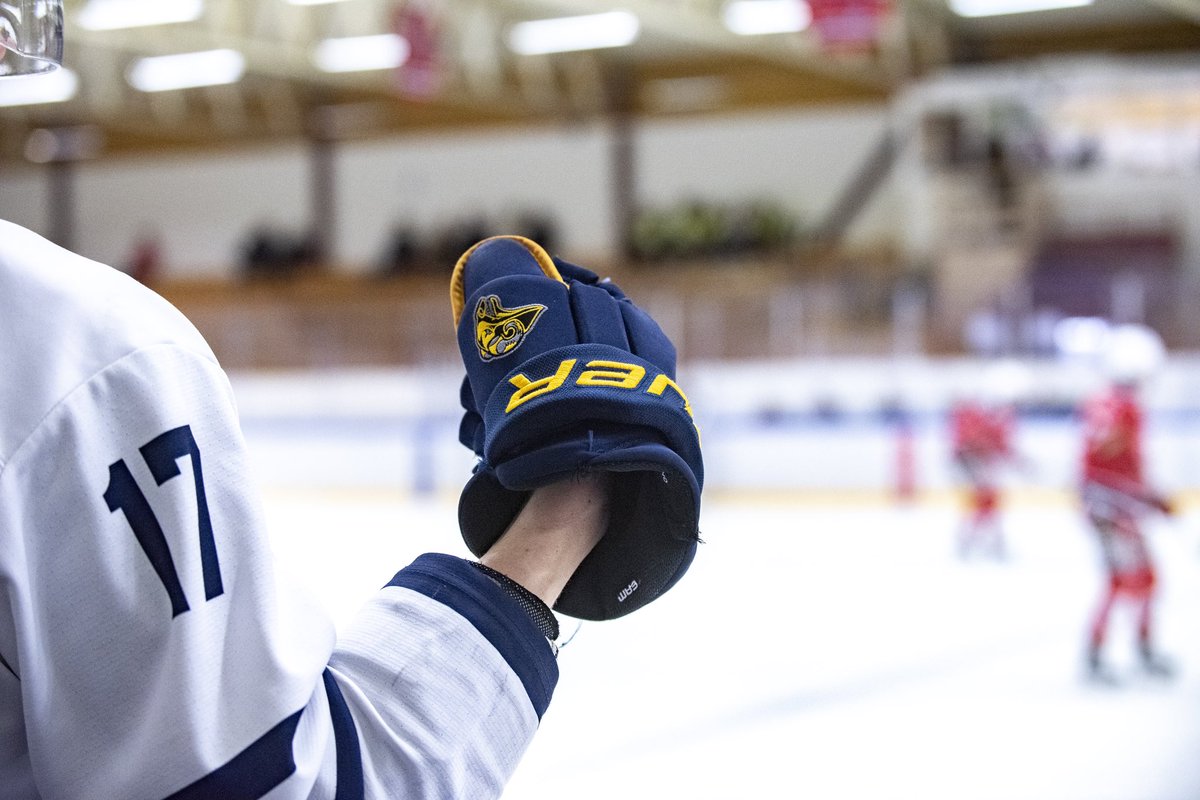Emil Öhrvall BIK Karlskoga är klar för Visby Roma. Läs mer här visbyroma.se/allsvensk-spel…