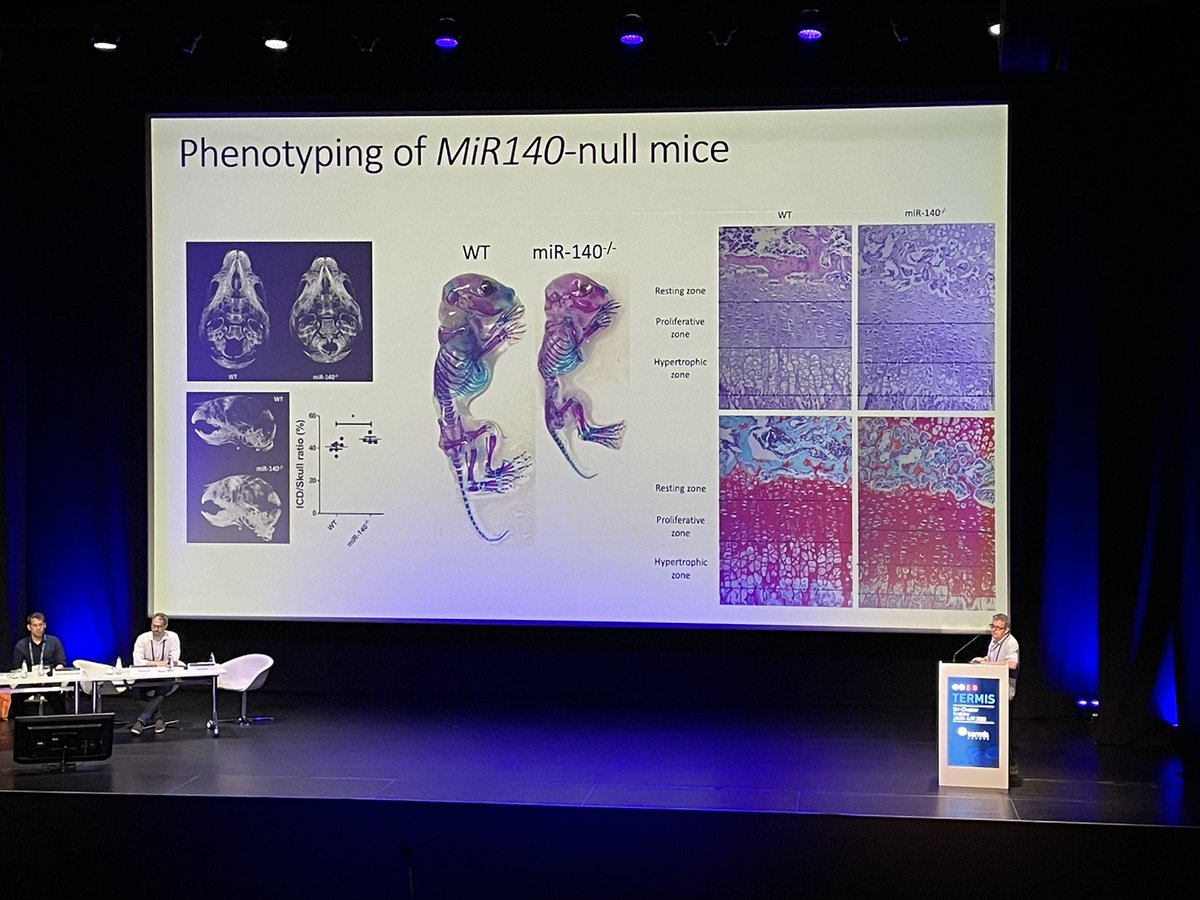 Claire Polain tweet media