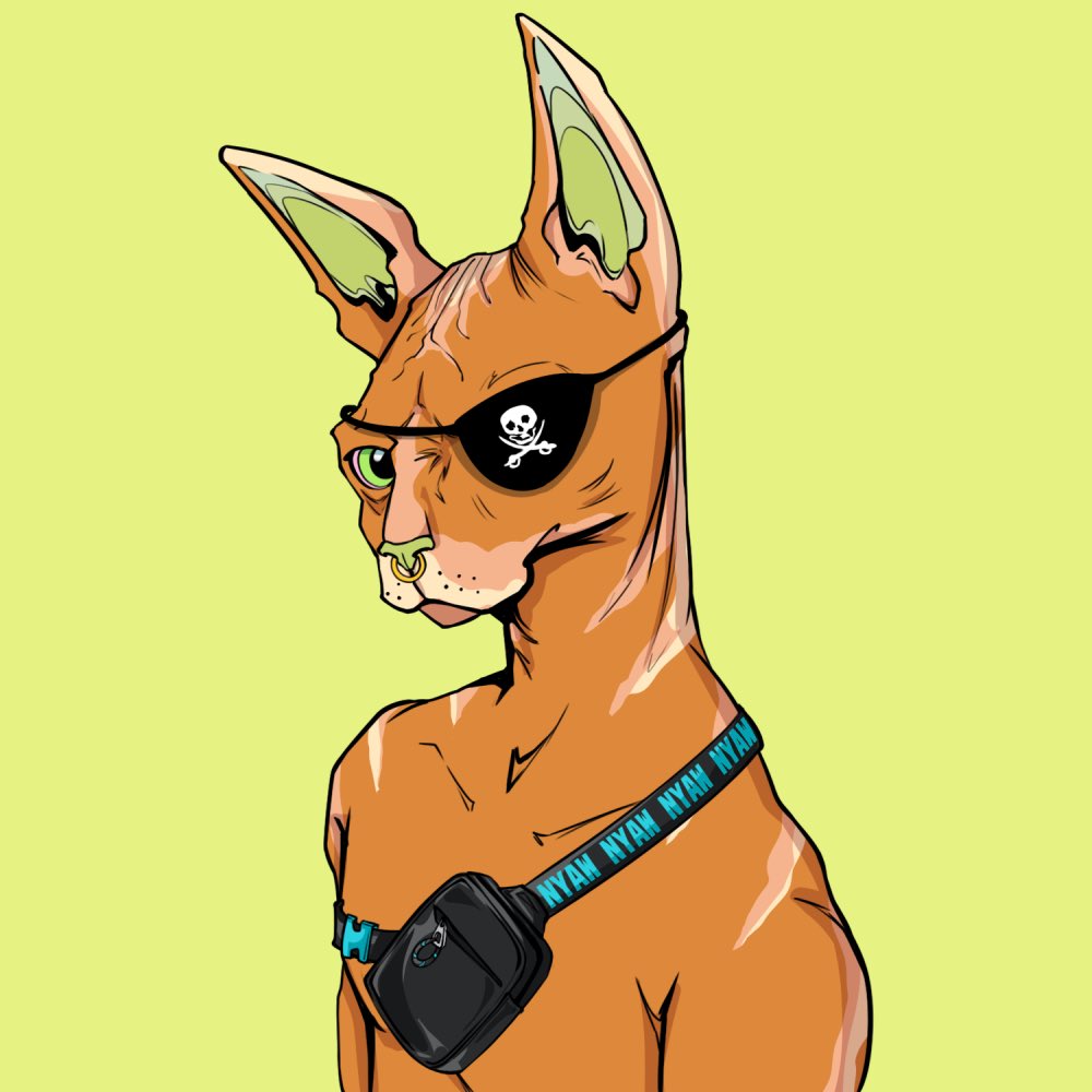 sypsup_'s tweet photo. 🎁 @TheSphynxUS GIVEAWAY🎁

👀 Giving away one of my Sphynxes to reach 1k followers 👀

1⃣  Follow me @sypsup_ 
2⃣  RT +❤️+Tag 3 Friends

⏱️48 Hrs https://t.co/oyaayM6Y6s